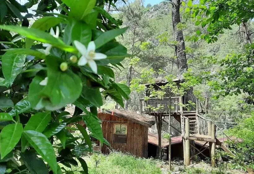 هتل Altaris Bungalows Olympos