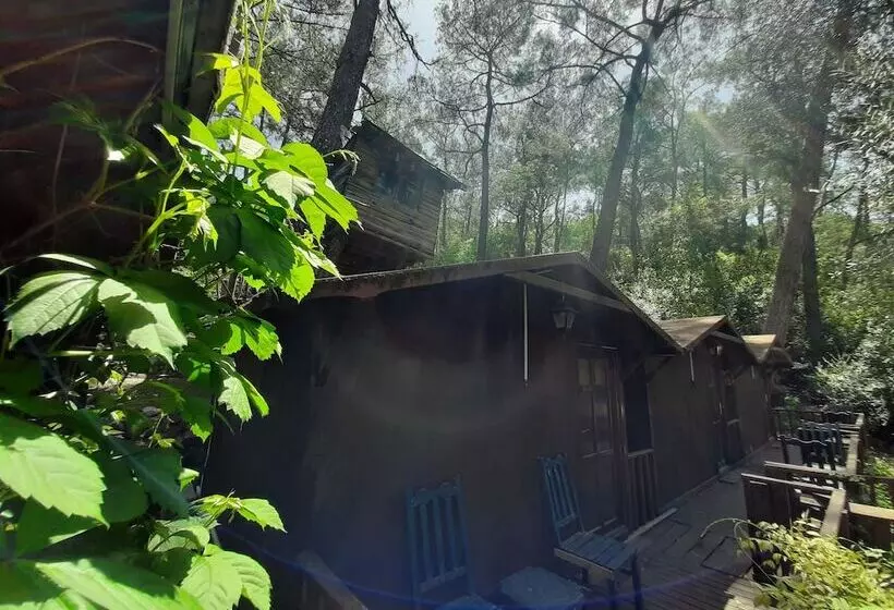 هتل Altaris Bungalows Olympos