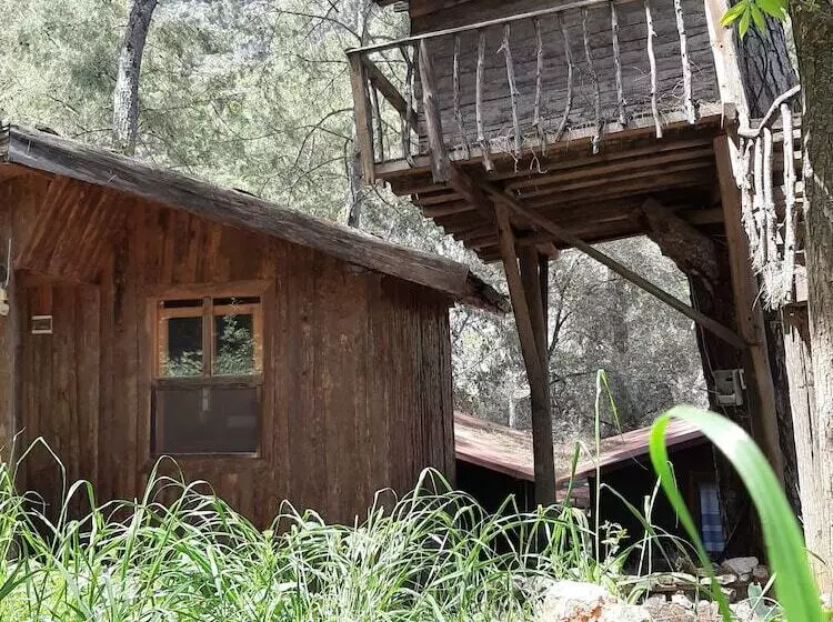 هتل Altaris Bungalows Olympos