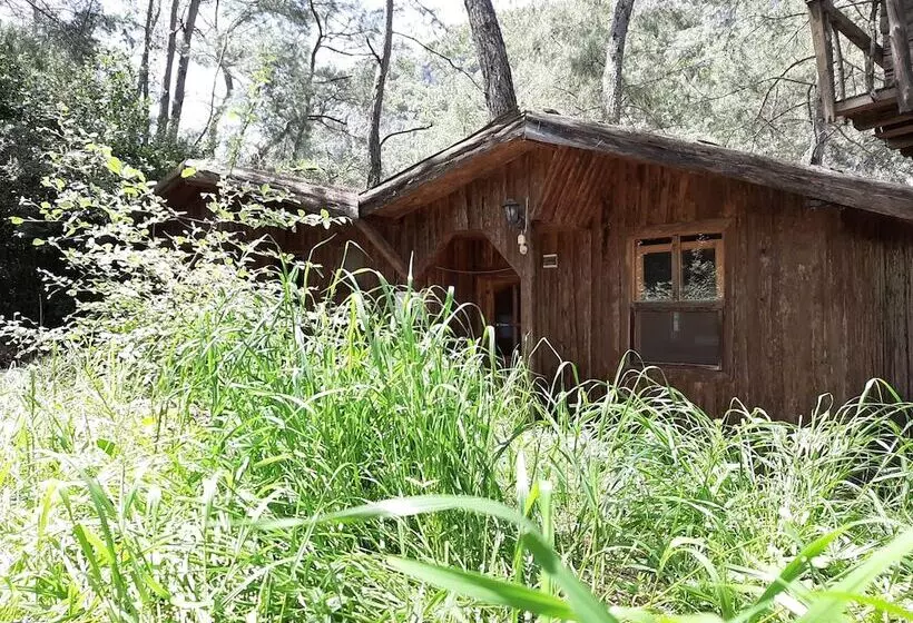 هتل Altaris Bungalows Olympos