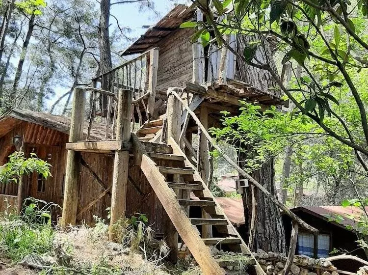 هتل Altaris Bungalows Olympos