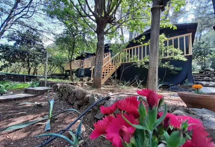 هتل Altaris Bungalows Olympos