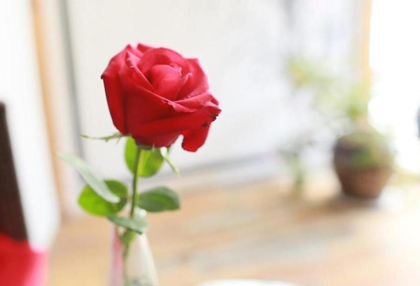 Отель Orchid Land Boutique Inn