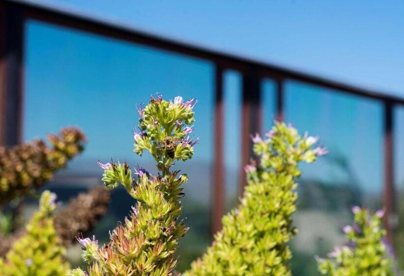 Hotel Park Inn By Radisson Los Olivos De Vallenar