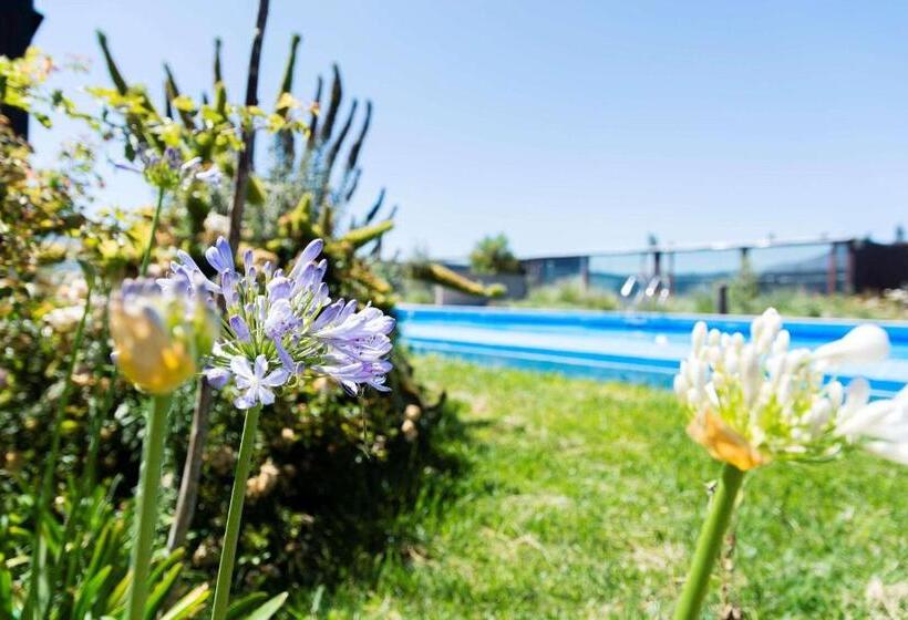 Hotel Park Inn By Radisson Los Olivos De Vallenar