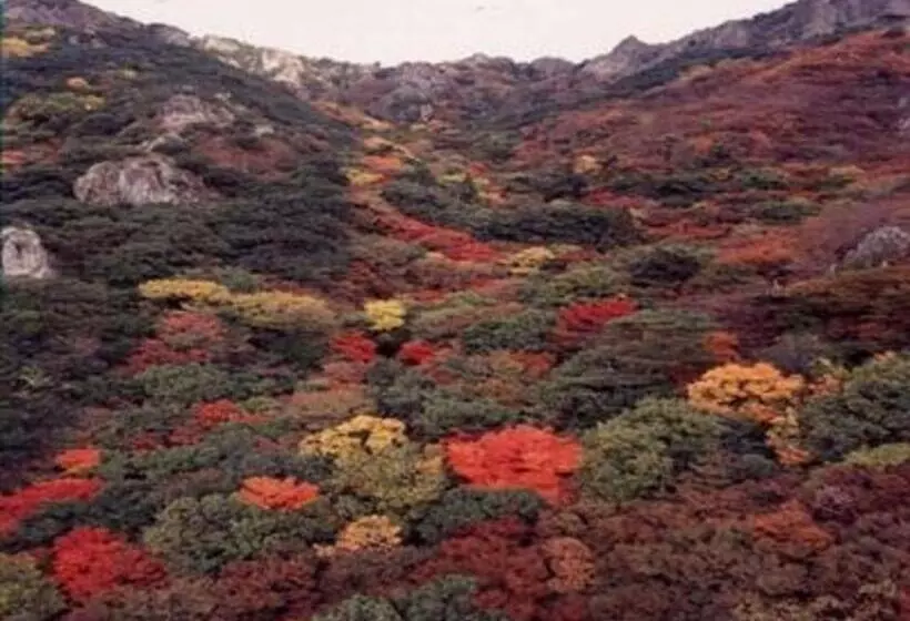 Majatalo Country Inn The White Marine