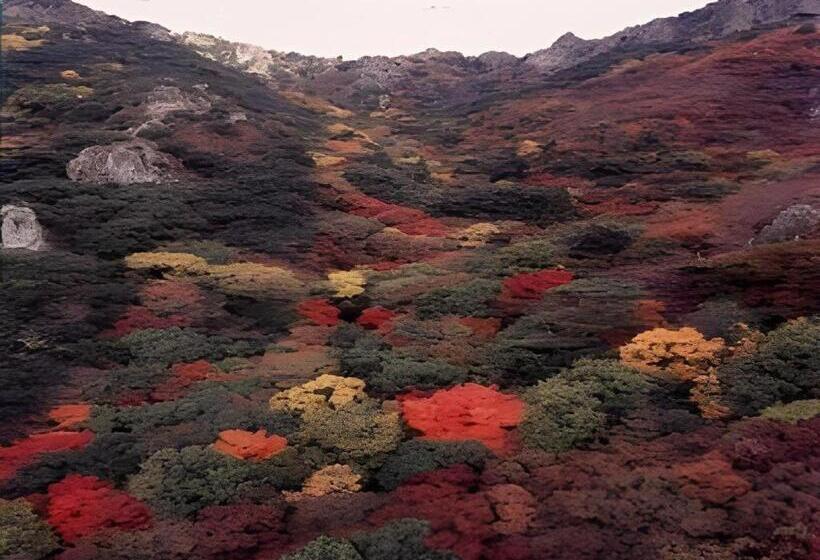 بنسيون Country Inn The White Marine