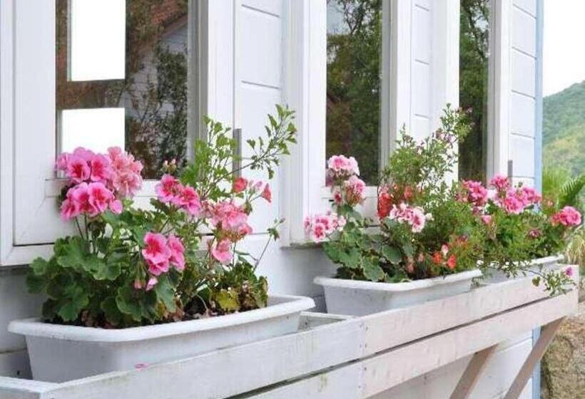 פנסיון Country Inn The White Marine