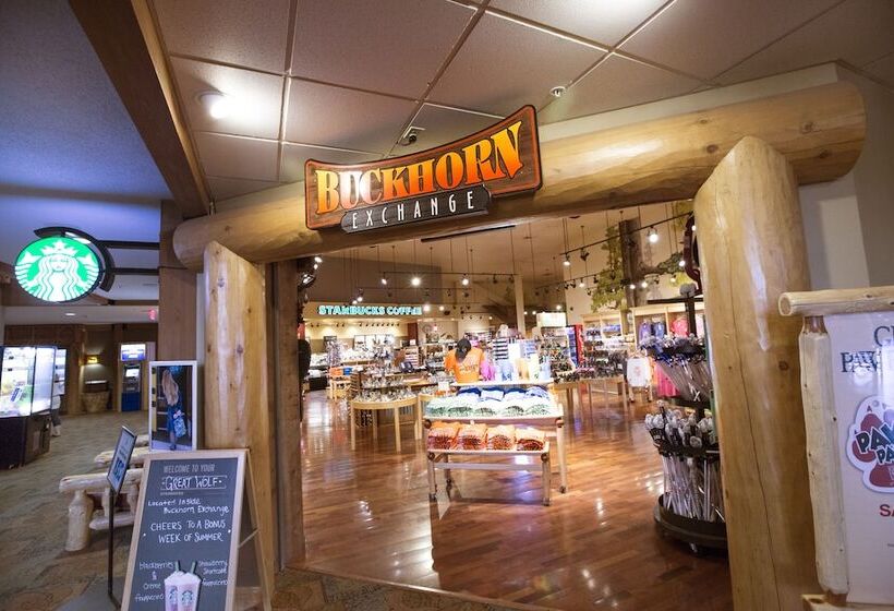 リゾートホテル Great Wolf Lodge Boston / Fitchburg, Ma