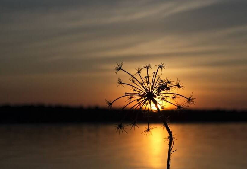 مبيت وإفطار The Purple Martin Lakeside Inn Bird Sanctuary On Lake Huron