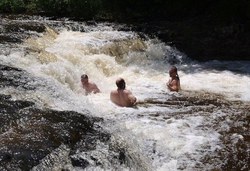 مبيت وإفطار The Purple Martin Lakeside Inn Bird Sanctuary On Lake Huron