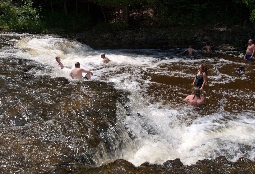 مبيت وإفطار The Purple Martin Lakeside Inn Bird Sanctuary On Lake Huron