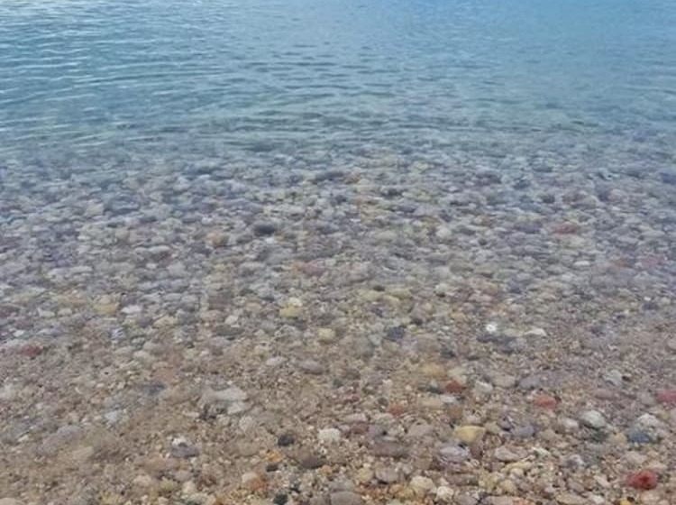 مبيت وإفطار The Purple Martin Lakeside Inn Bird Sanctuary On Lake Huron