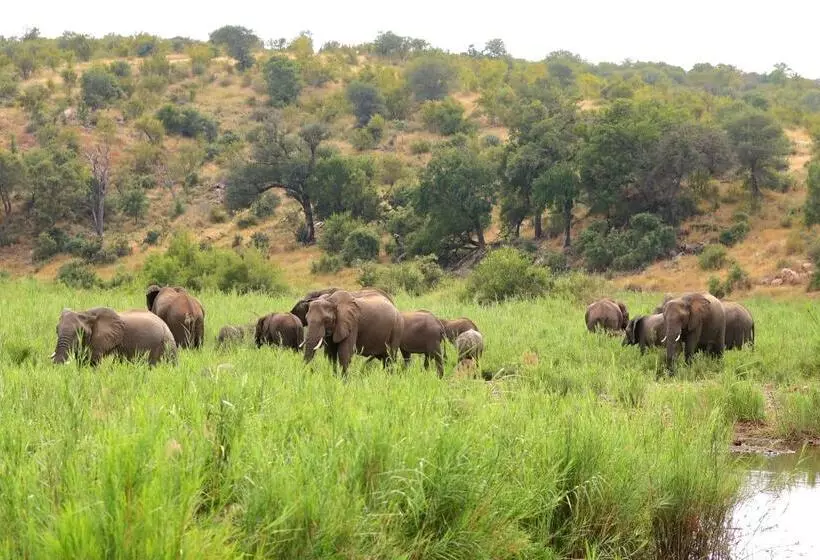 هتل Amani Safari Camp