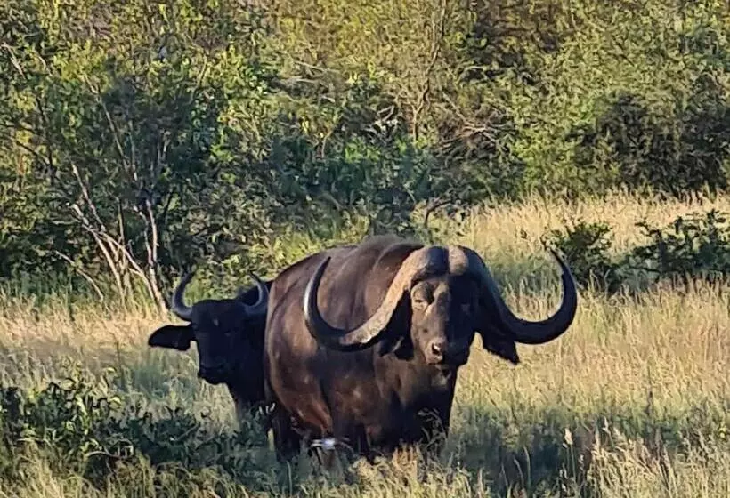 هتل Amani Safari Camp