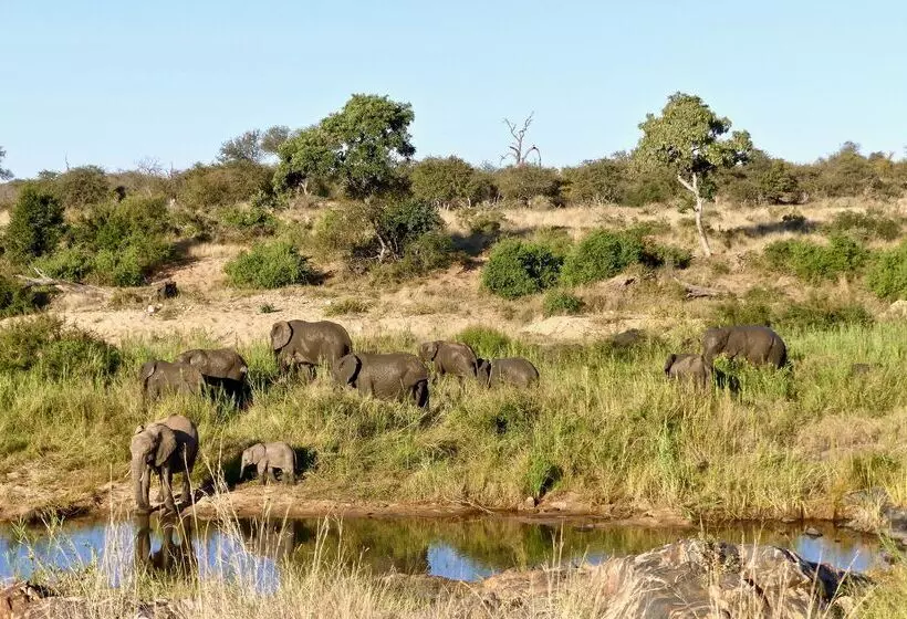 Hotelli Klaserie Drift