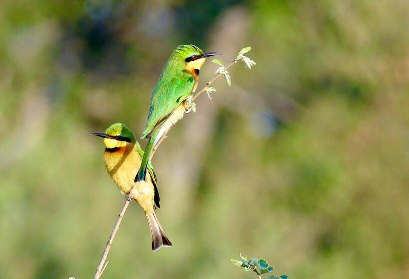 فندق Klaserie Drift