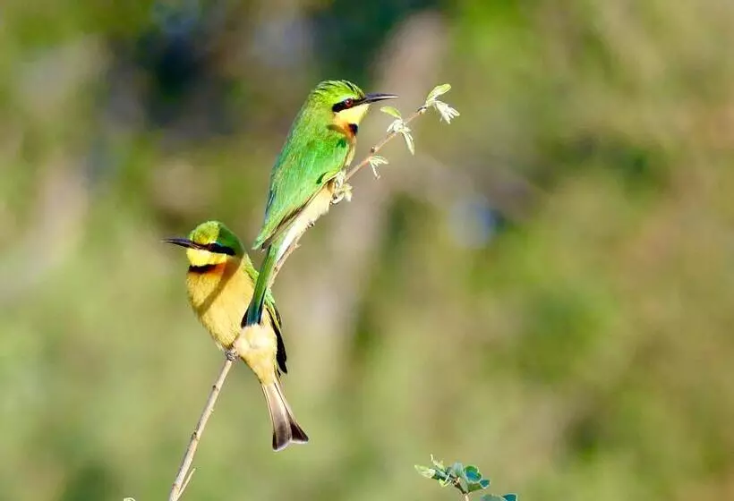 Hotelli Klaserie Drift