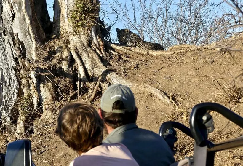 Hotelli Klaserie Drift