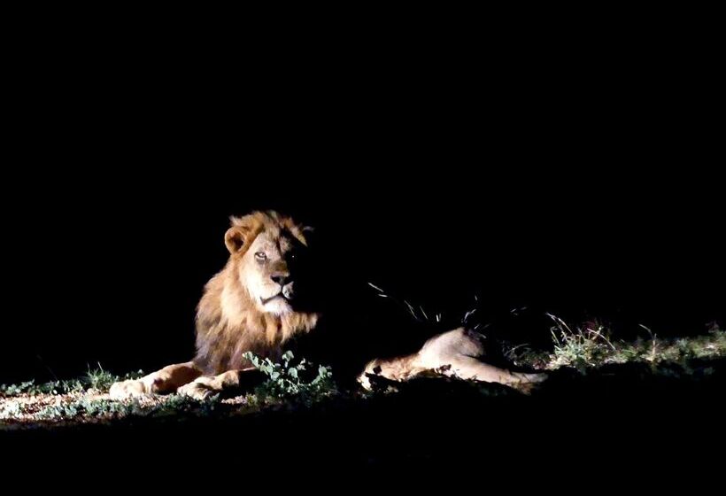 فندق Klaserie Drift