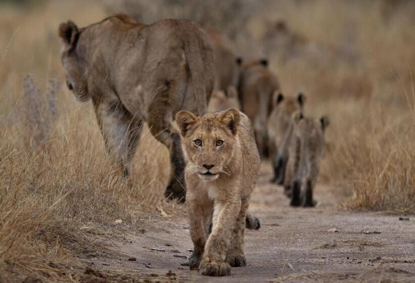 فندق Klaserie Drift