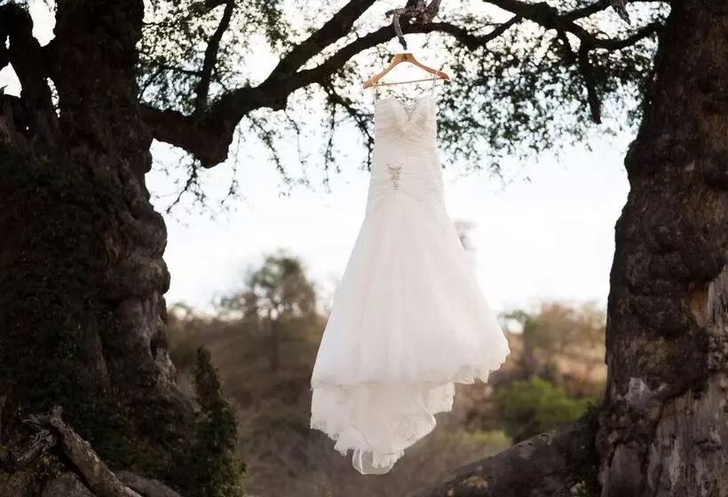 Hotelli Klaserie Drift