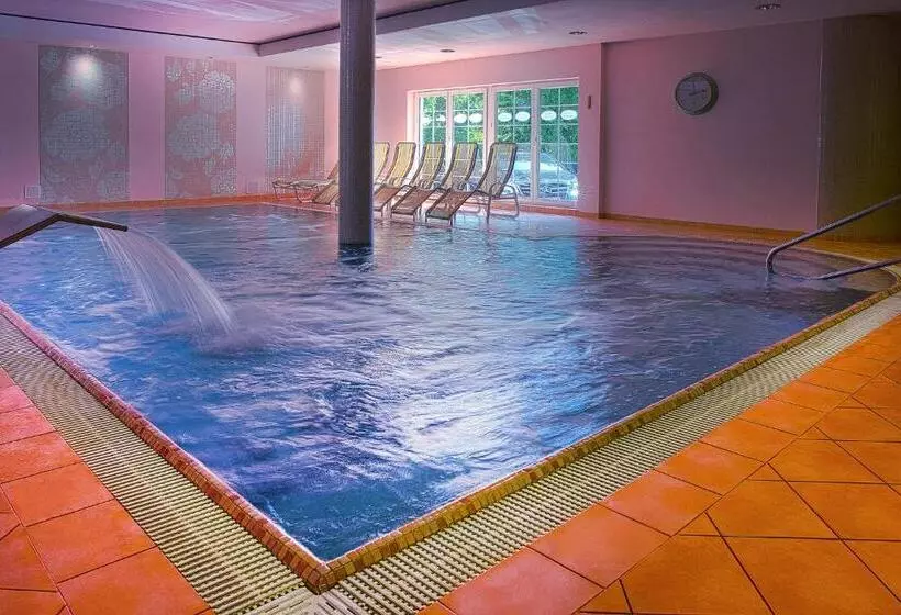 Hotelli Willa Alexander Resort & Spa   Caloroczny Kryty Basen