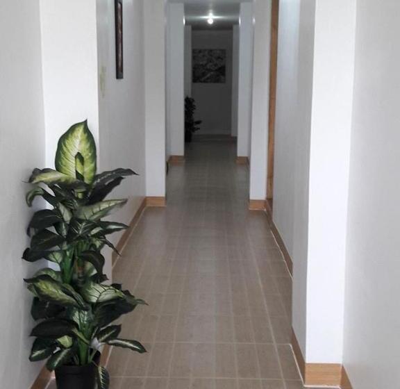 Pensjonat Stanley House Seaview Apartments