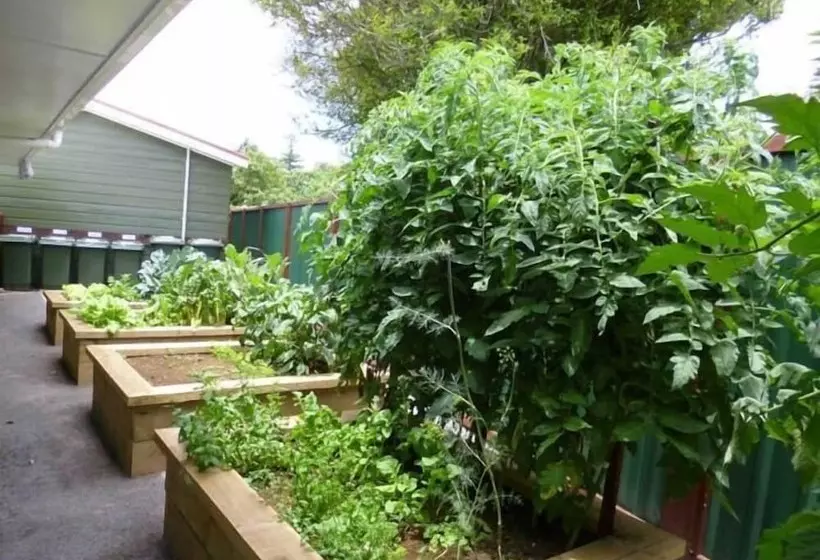 هتل Shiralee Executive Cottages