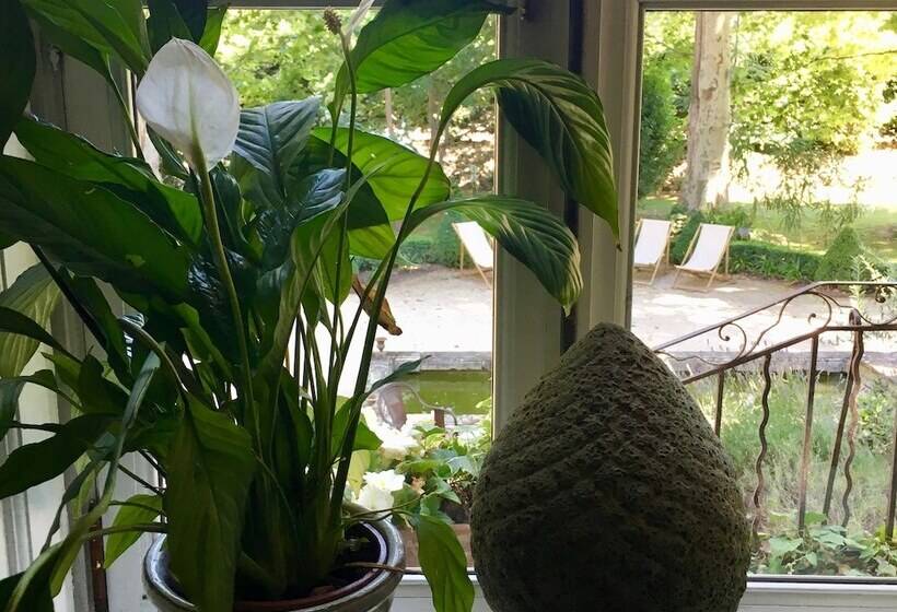 B&b Maison D Hôtes Château De Jouques