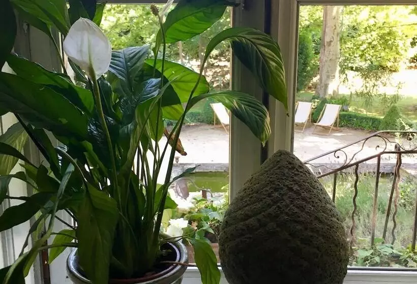 B&b Maison D Hôtes   Château De Jouques