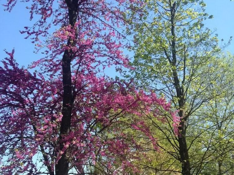 B&b Maison D Hôtes   Château De Jouques