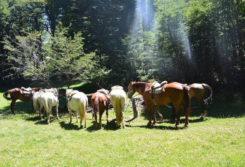 فندق Huemules Reserva De Montana