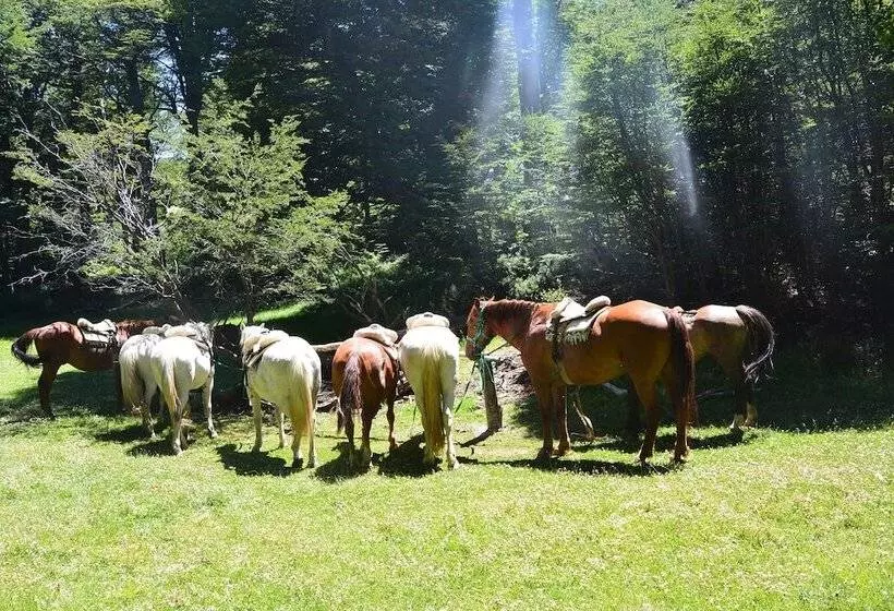 Hotelli Huemules Reserva De Montana