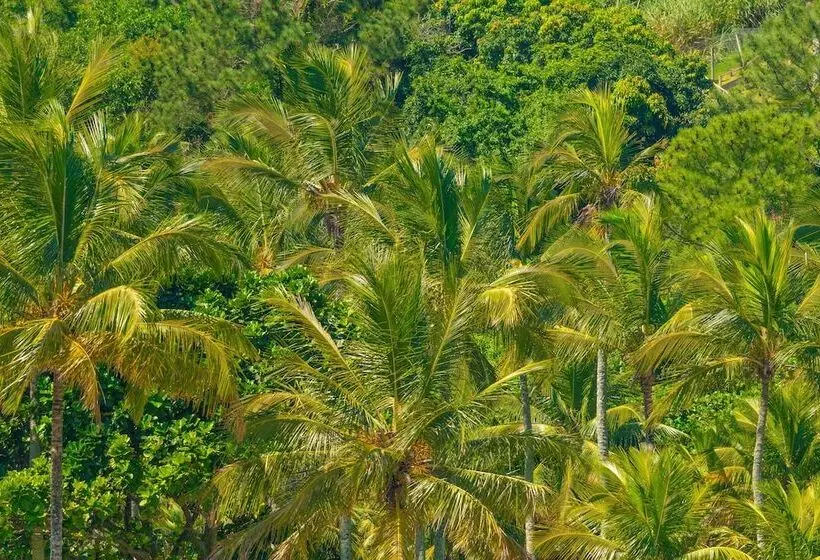 ホテル Pousada Vila Barequeçaba