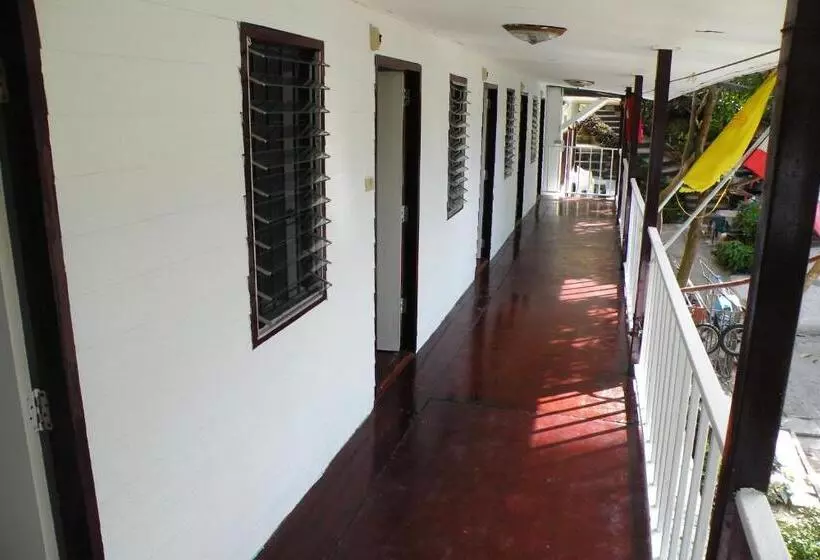 Alberg Coco S Guesthouse