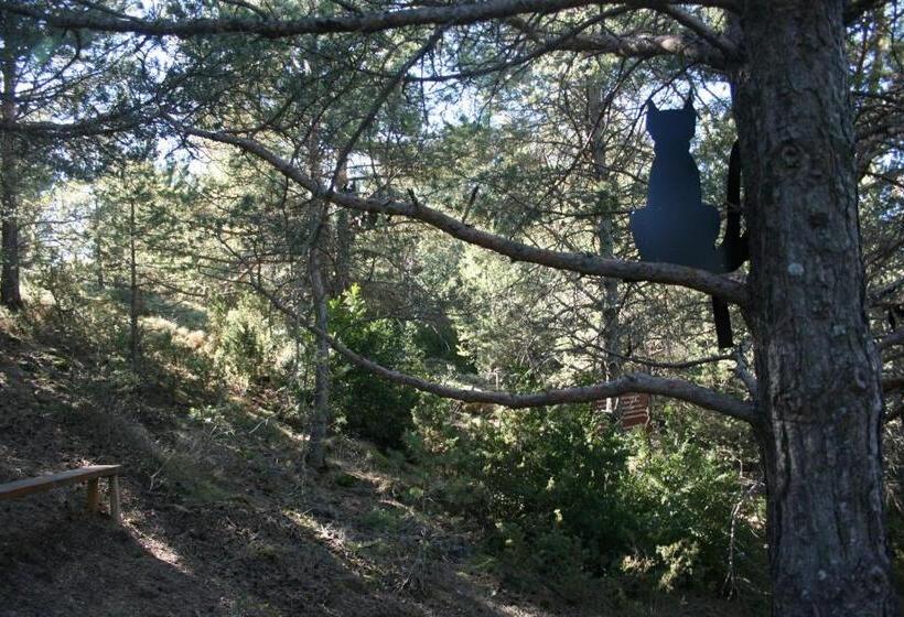 فندق فئة نجمة واحدة Casa Francho