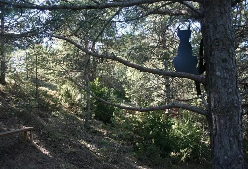 Hostelli Casa Francho