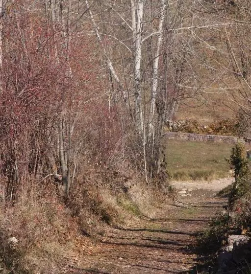 Hostelli Casa Francho