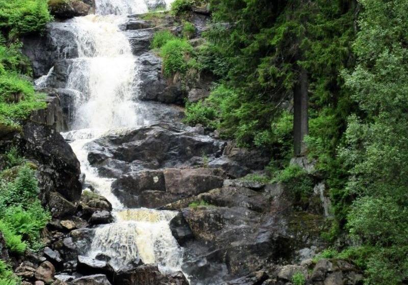 בית מלון כפרי Highway