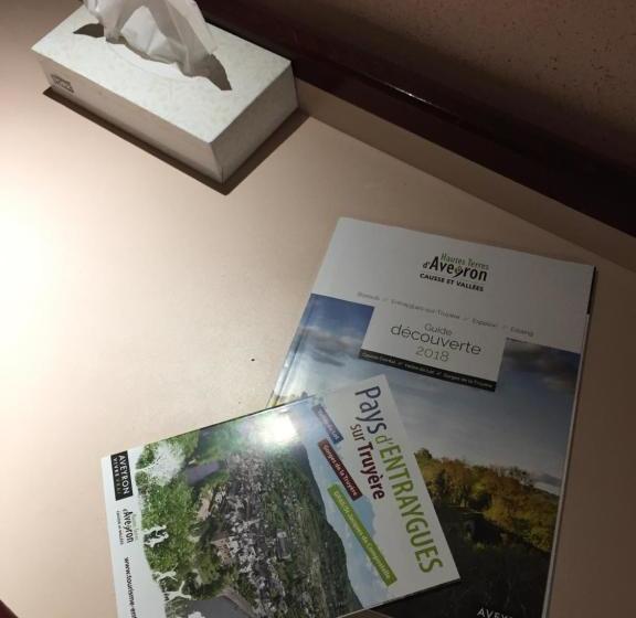 ホテル Hôtel Du Centre