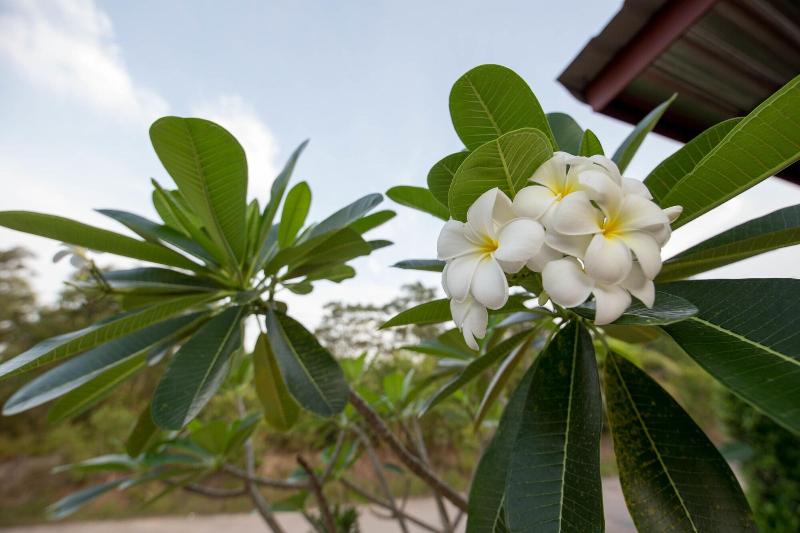 فندق Siri Lanta Resort