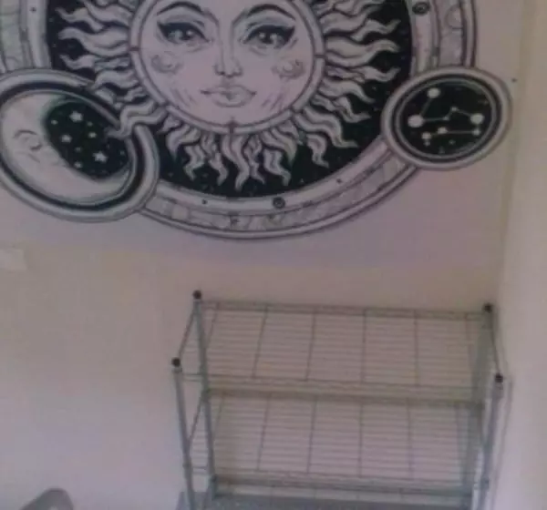 Albergue O Apalpador