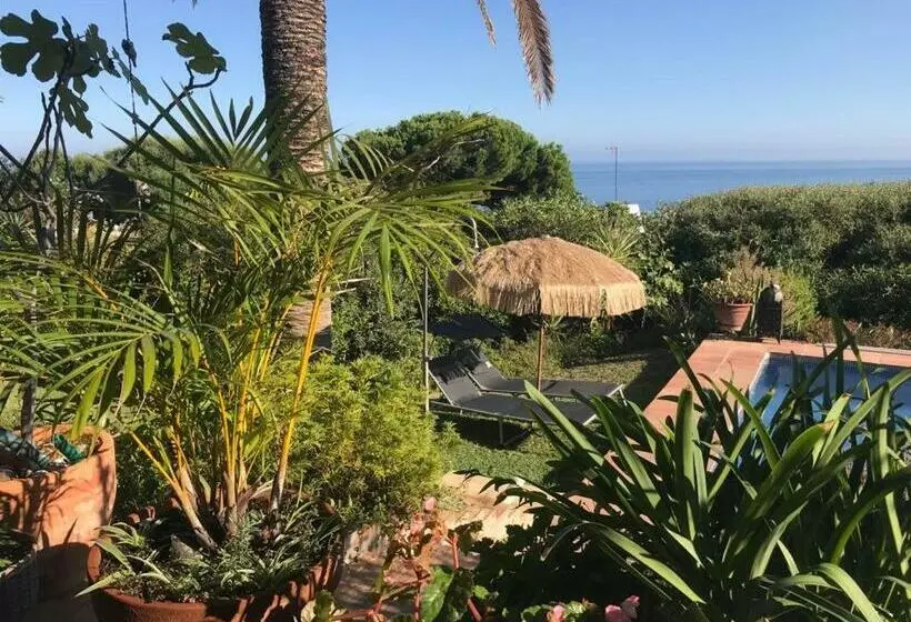 Aamiaismajoitus (B&B) Casa Bahia De Casares