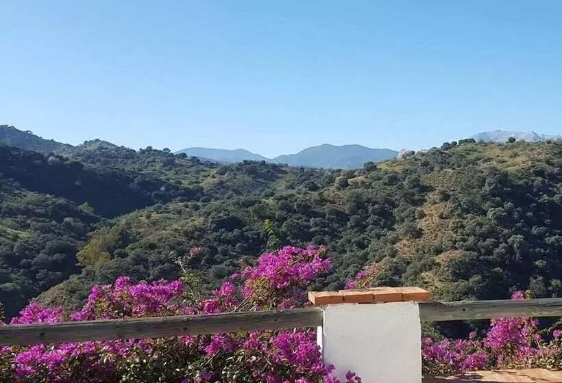 Aamiaismajoitus (B&B) Corazón Andaluz Guesthouse
