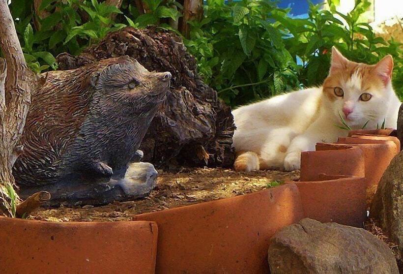 민박 Corazón Andaluz Guesthouse