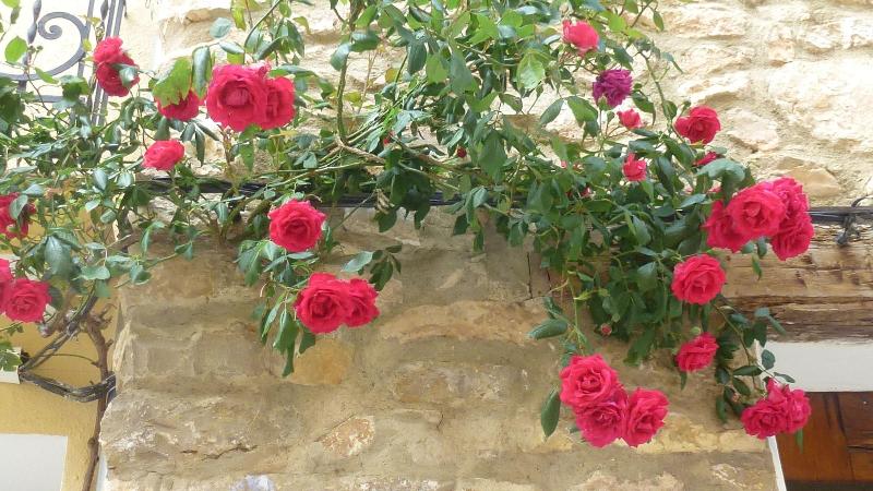 Casa Rural Aras Apartamentos Turísticos