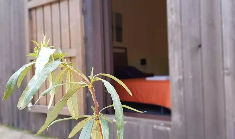 Casas Rurales Cijara