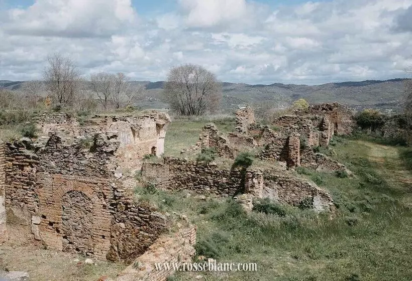 ホテル La Cartuja De Cazalla