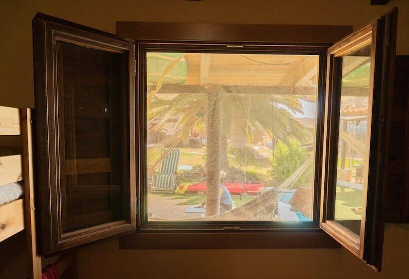 Twin Fin Surf Camp Hostel